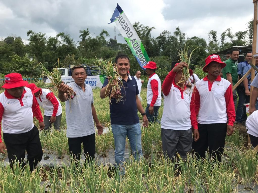 Songsong Pasar Bebas, PG Genjot Penetrasi Pasar NPK Phonska Plus