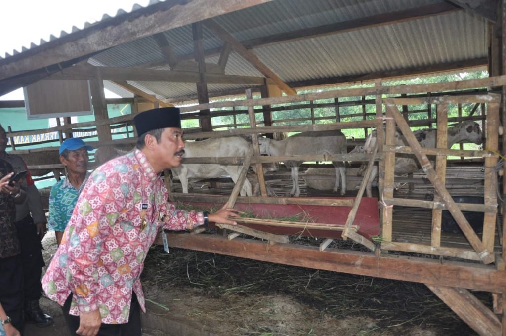 Baznas Gresik Beri Bantuan Kambing dan Kandang