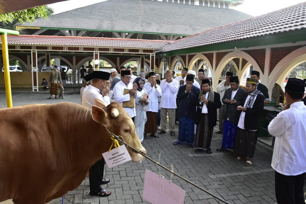 Petrokimia Gresik Kurban Hewan Program “Petrobiofeed Qurban Digital”