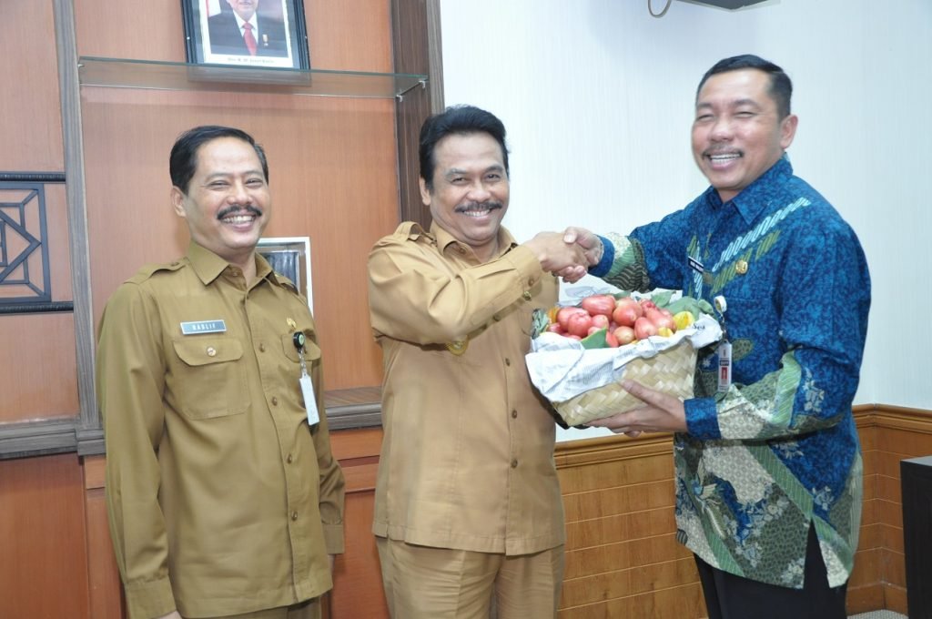 Peserta Diklatpim IV Demak Beri Wabup Qosim Jambu Air Delima