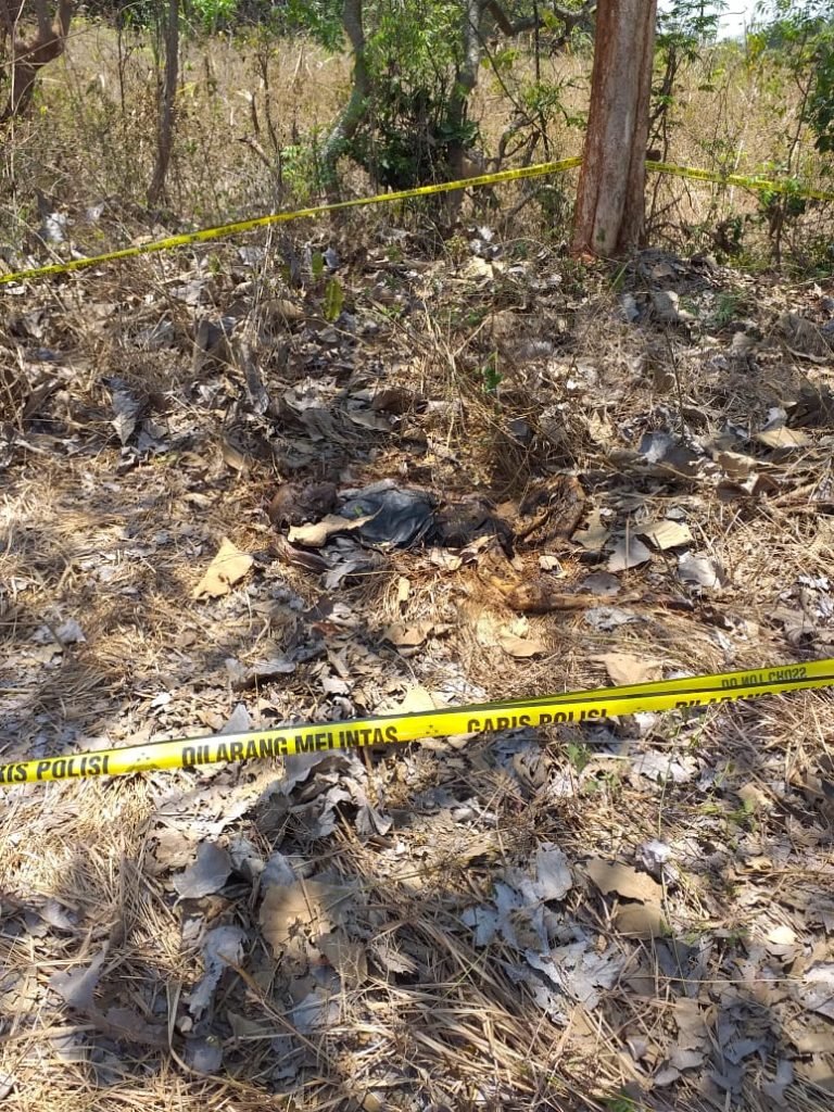 Sebulan Menghilang Pak Rom Ditemukan Tewas di Lahan Tebu