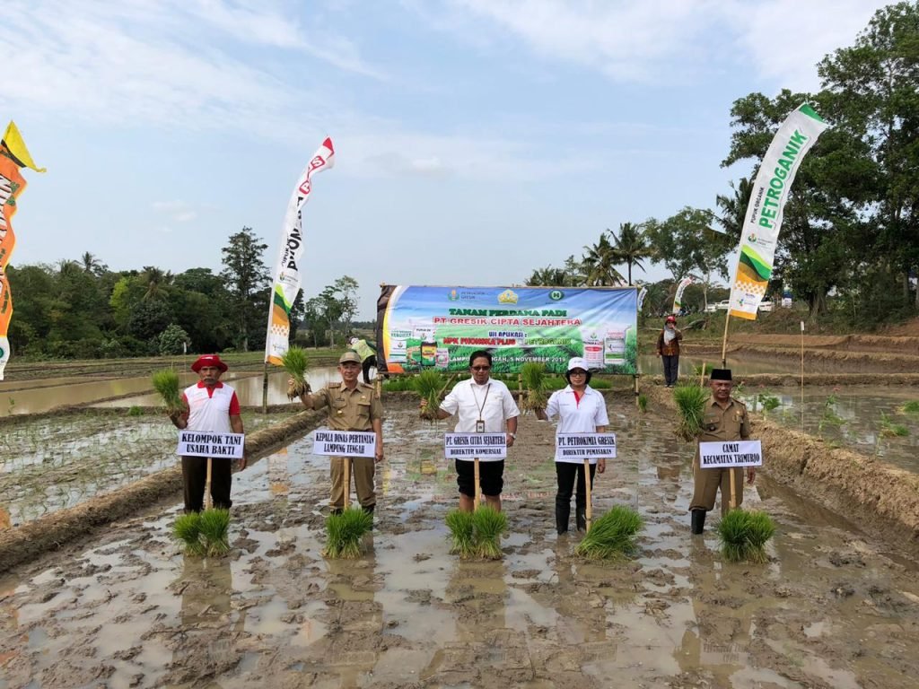 Musim Tanam 2020 PG Kampanyekan Pemupukan Berimbang