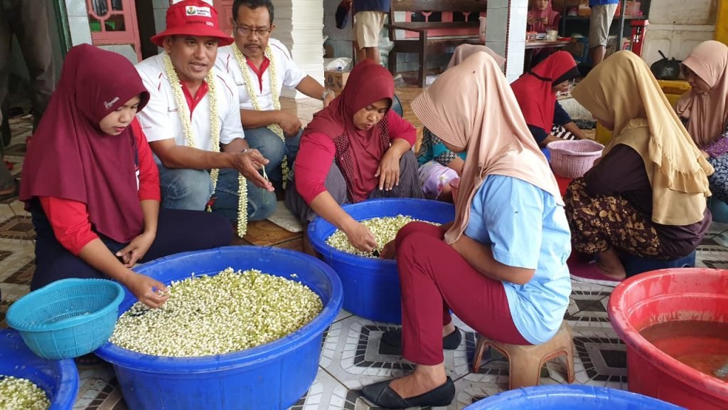 Petrokimia Gresik Produksi Pupuk Florikultura Demi Budidaya Melati