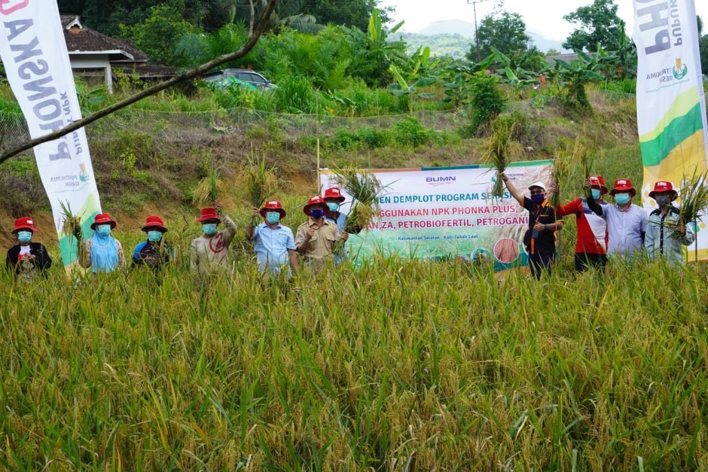 Terlibat Serasi, Petrokimia Gresik Berhasil Dongkrak Panen Padi di IKN Baru