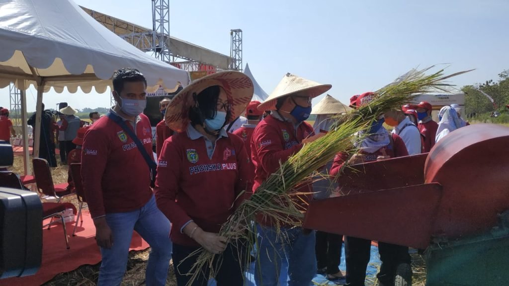 Demplot, Upaya Petrokimia Gresik Jaga Ketahanan Pangan