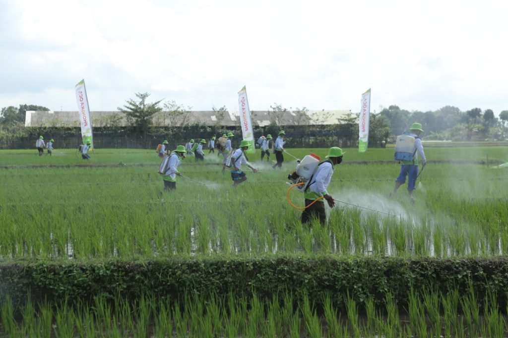 Phonska Oca Obat Mujarab bagi 5 Juta Lahan Sawah di Indonesia yang Kurang Sehat