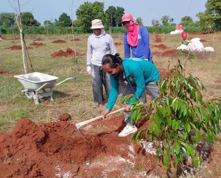 Setigi Sukses, Kades Sekapuk Bangun Kebun Pak Inggih