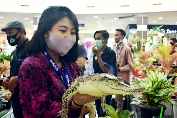 Ada Buaya Lagi Jalan-jalan di Mall