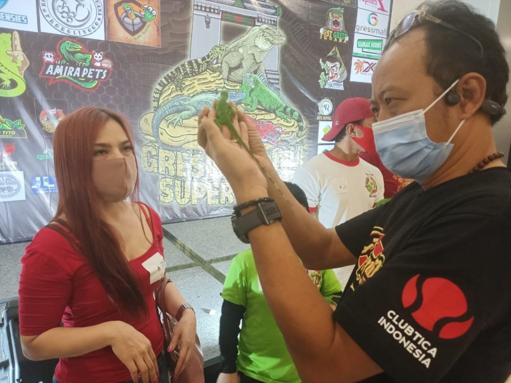 Ratusan Pecinta Reptil dan Kucing Penuhi GresMall