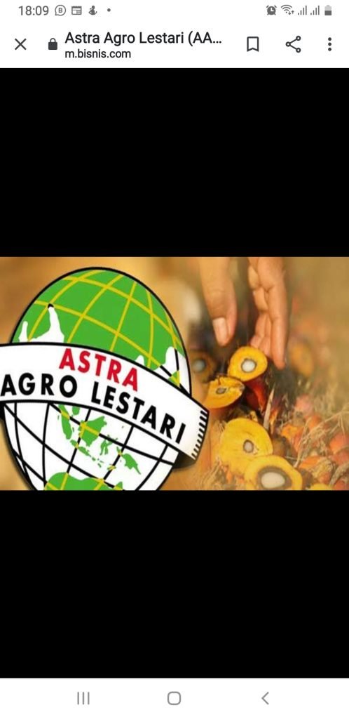 Pasar domestik dan ekspor terus menguat