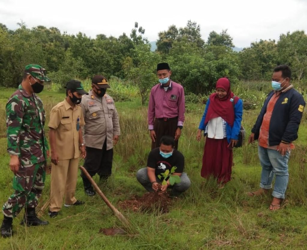 IKA PMII Sumenep Melakukan Aksi Penanaman 1000 Pohon, Guna melindungi Bumi.