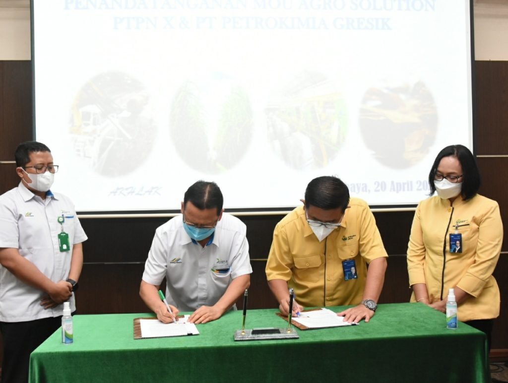 Gandeng PTPN X , Petrokimia Gresik Perluas Cakupan Agro Solution