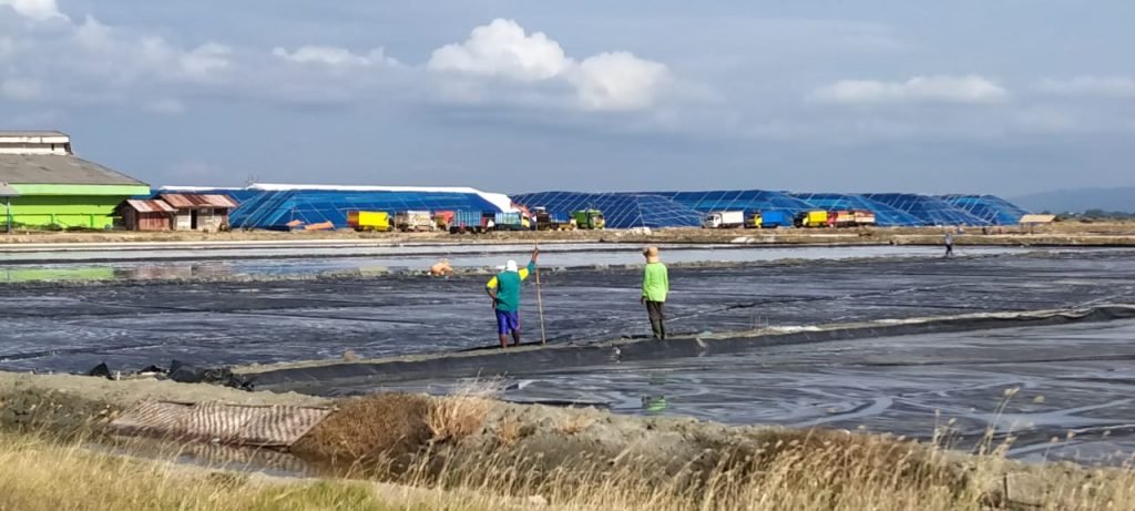 Teka-Teki Penunjukan PT Enggal Jaya Sentosa Oleh PT Garam Persero