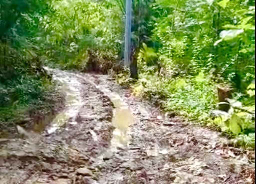 Dinas PU Bina Marga Sumenep Akui Banyak Jalan Kabupaten Rusak Parah