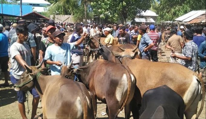 Masyarakat Sumenep Resah Dengan PMK