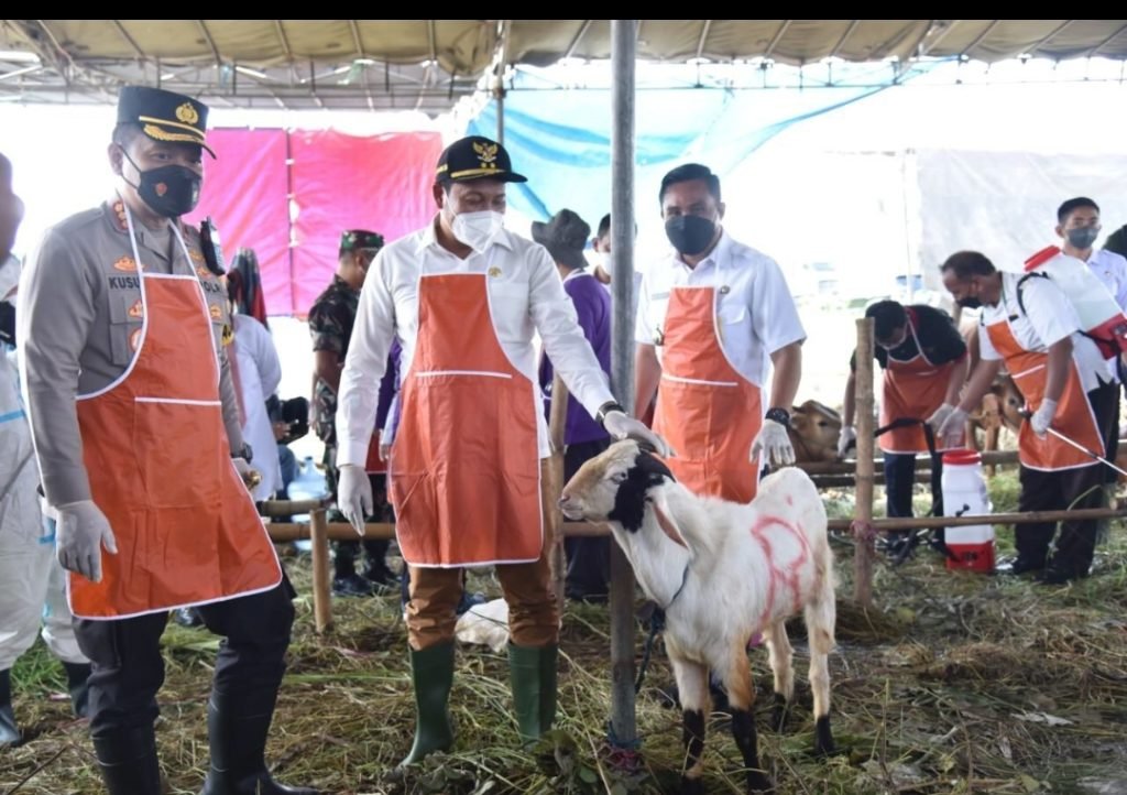 Wabup H. Subandi : Aman Dari Penyakit Mulut Kuku/PMK Pada Hewan Kurban Yang Dijual.