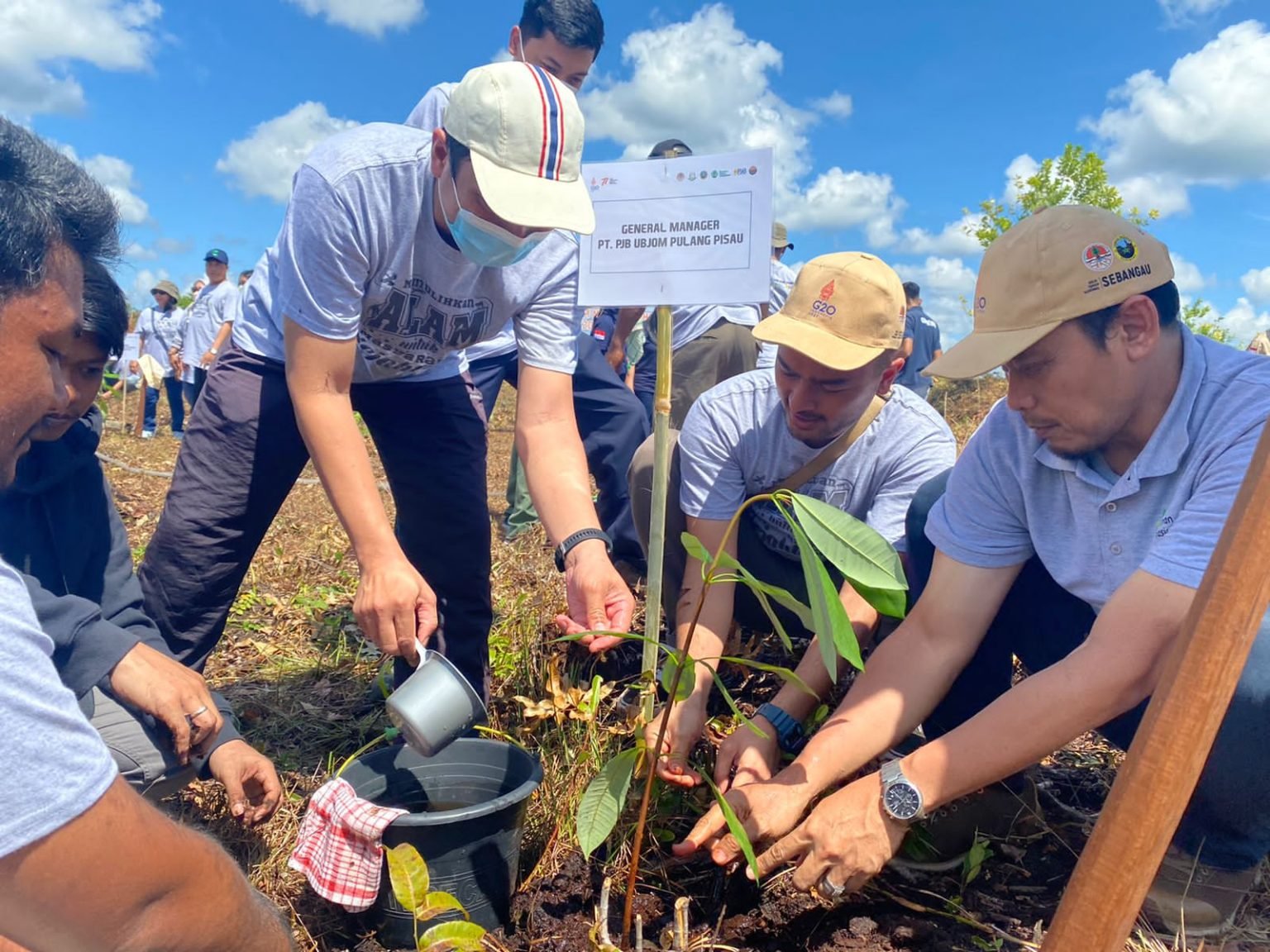 Peringati Hari Konservasi Alam Nasional, PT PJB Tanam 5000 Pohon Balangeran