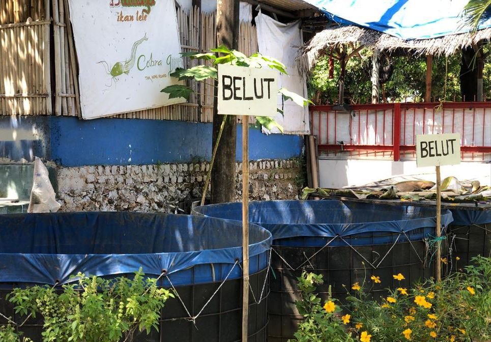 Tidak Hanya Batik, Rutan Sumenep Tambah Pembinaan Di Sektor Pertanian dan Perikanan