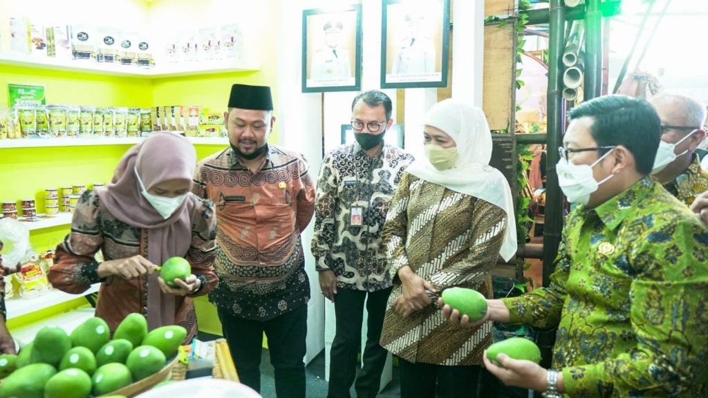 Gubernur Usulkan Petani Dapat Akses KUR Alsintan dengan Grace Period Empat Tahun