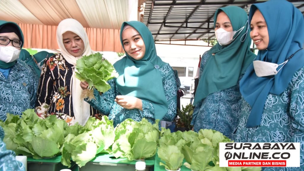 Ning Sasha Latih Ratusan Anggota PKK Bercocok Tanam Hidroponik