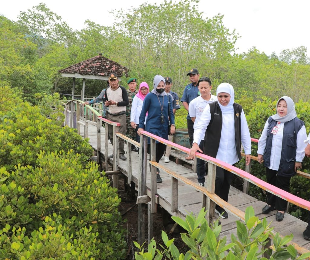 Gubernur Khofifah Dorong Hilirisasi Produk UMKM Berbasis Mangrove