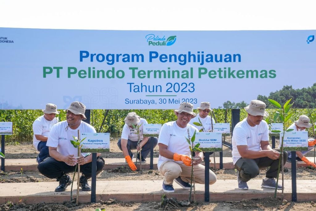 Pelindo Terminal Petikemas Tanam 55 Ribu Bibit Mangrove