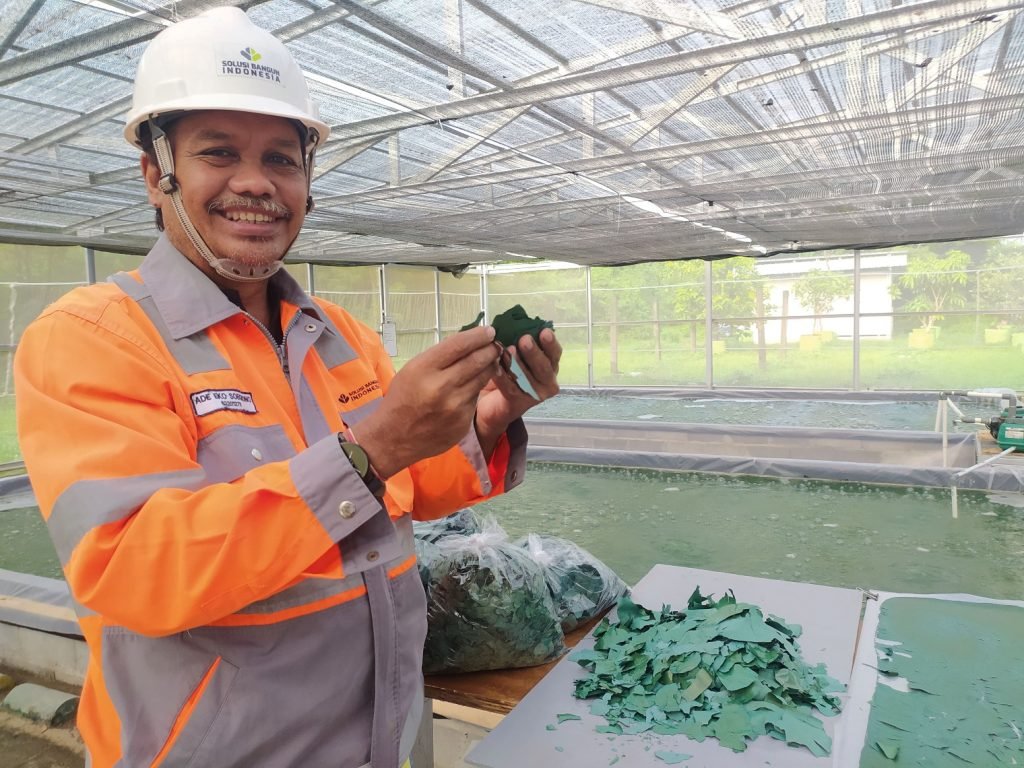 SIG Cetak Laba Rp 866 Miliar di Semester I 2023