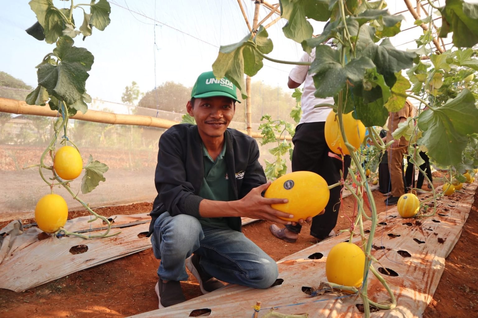 Unisda dan Desa Petiyentunggal Wujudkan Wisata Petik Buah