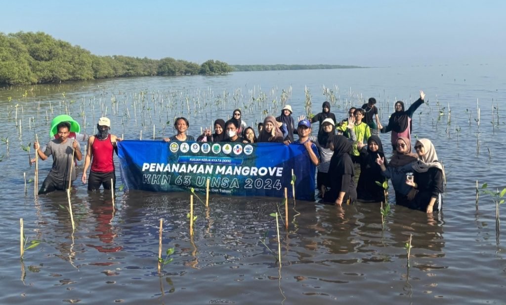 Amankan Kampung Nelayan, Mahasiswa UINSA Tanam Mangrove