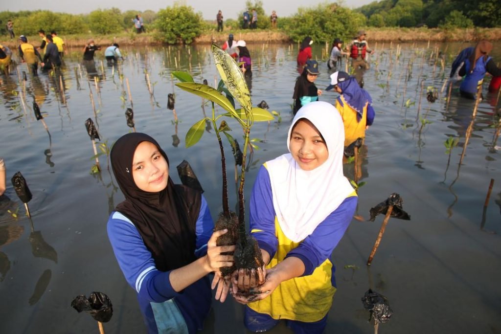 Wahana Visi dan Pemkot Surabaya Sinergi Konservasi Mangrove