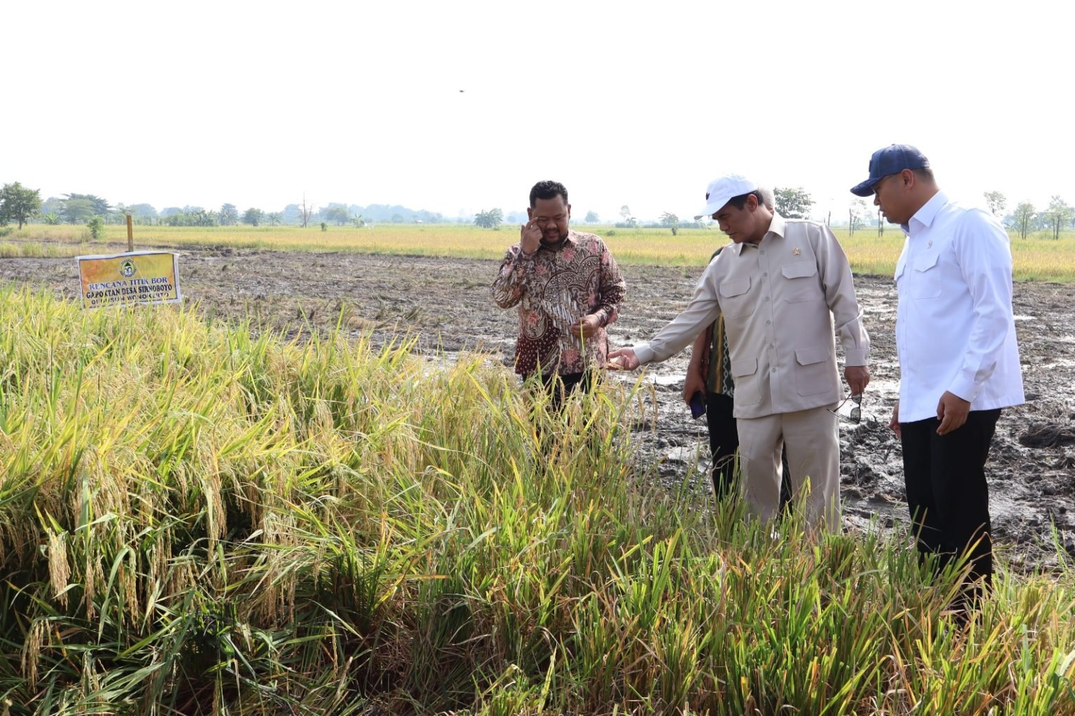 Panen Raya di Gresik: Mentan Puji Serapan Gabah dan Dukung Kesejahteraan Petani