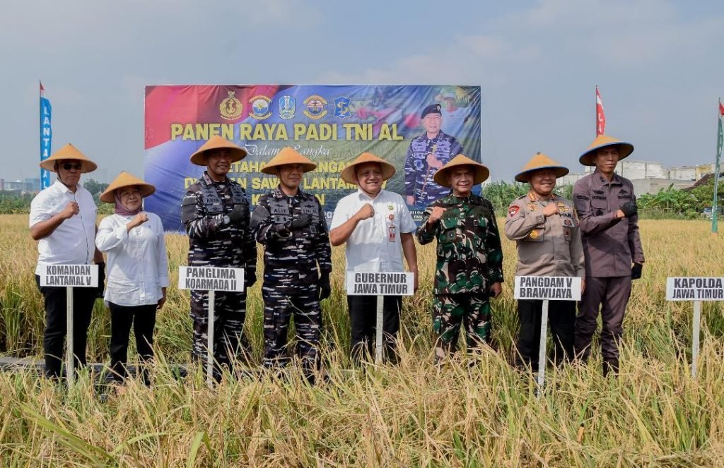 Pemkot Surabaya dan TNI AL Adakan Panen Raya Padi Serentak