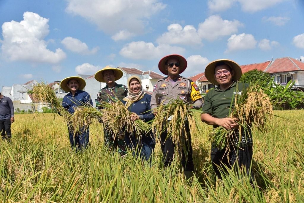 DKPP Surabaya Bantu Pembibitan hingga Irigasi untuk Poktan