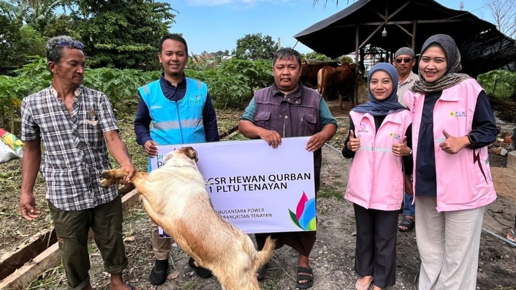PLN Nusantara Power Salurkan 25.478 Paket Qurban di Idul Adha 1446 H