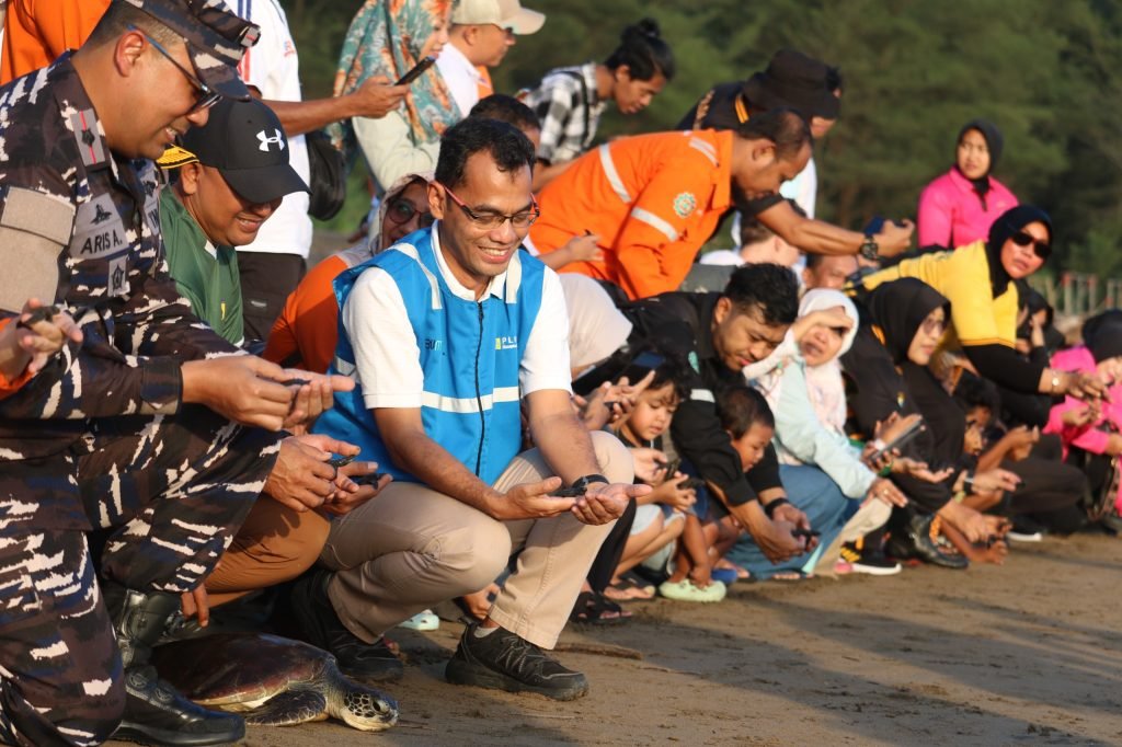 PLN NP Lepas 150 Tukik dan 1 Penyu Sisik di Pantai Pancer Door Pacitan