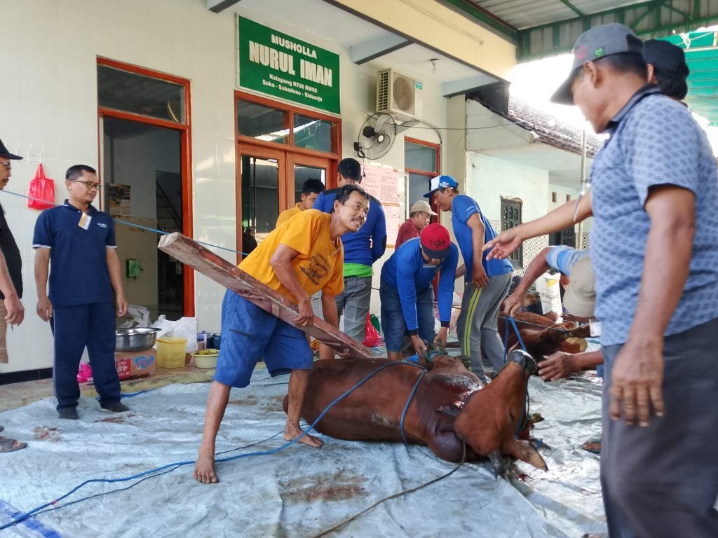 Semarak Idul Adha, Musholla Nurul Iman, Ketapang, Suko, Sidoarjo Sembelih 8 Hewan Kurban