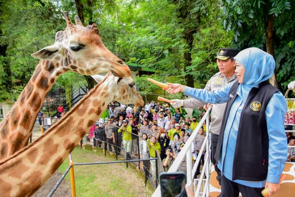 Destinasi Wisata Jatim Kian Dilirik Dunia