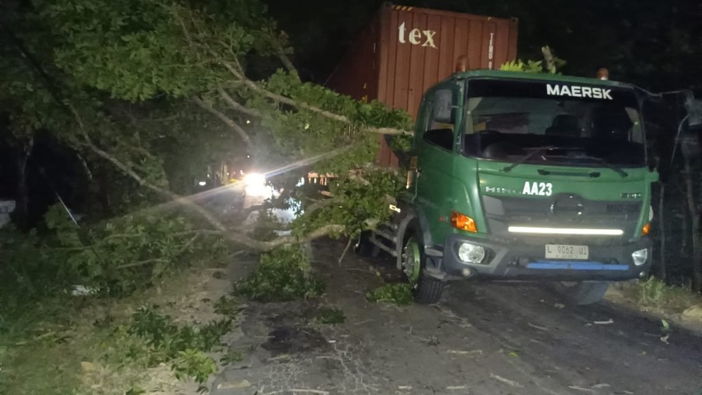 Angin Kencang, Pohon Besar Tumbang Timpa Truk Kontainer di Magetan