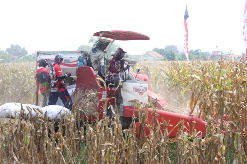 Sidoarjo Gelar Panen Raya Jagung Serentak Dukung Swasembada Pangan Nasional