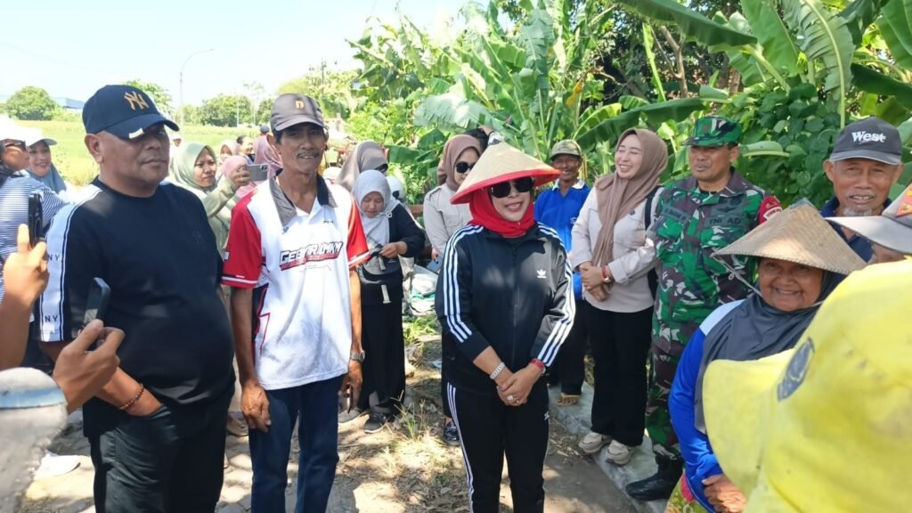 Wabup Sidoarjo Hj. Mimik Idayana Hadiri Panen Raya Padi di Balongbendo