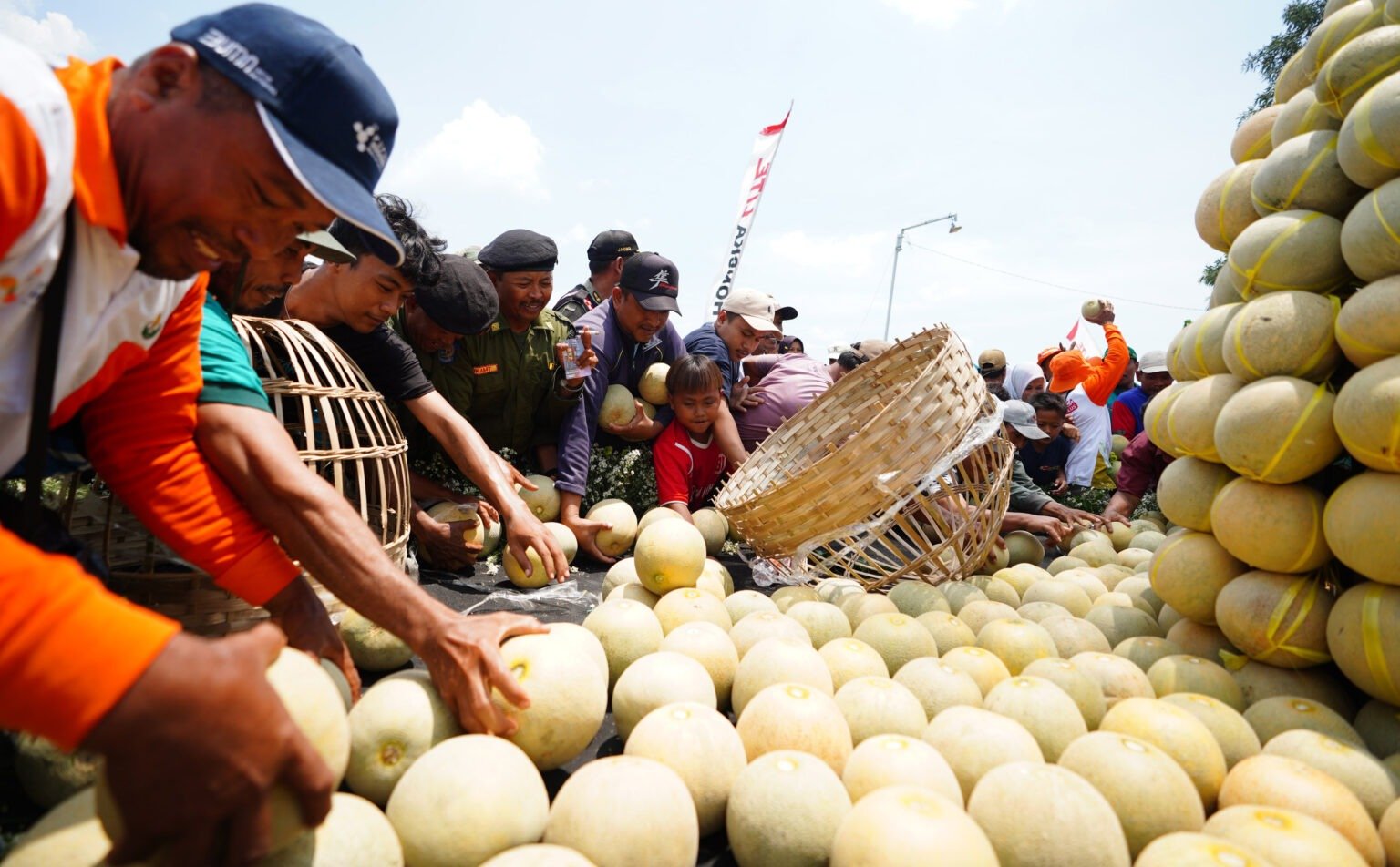 Petrokimia Gresik Dongkrak Produktivitas Melon Pantura 10 Persen, Pendapatan Petani Naik 15 Persen