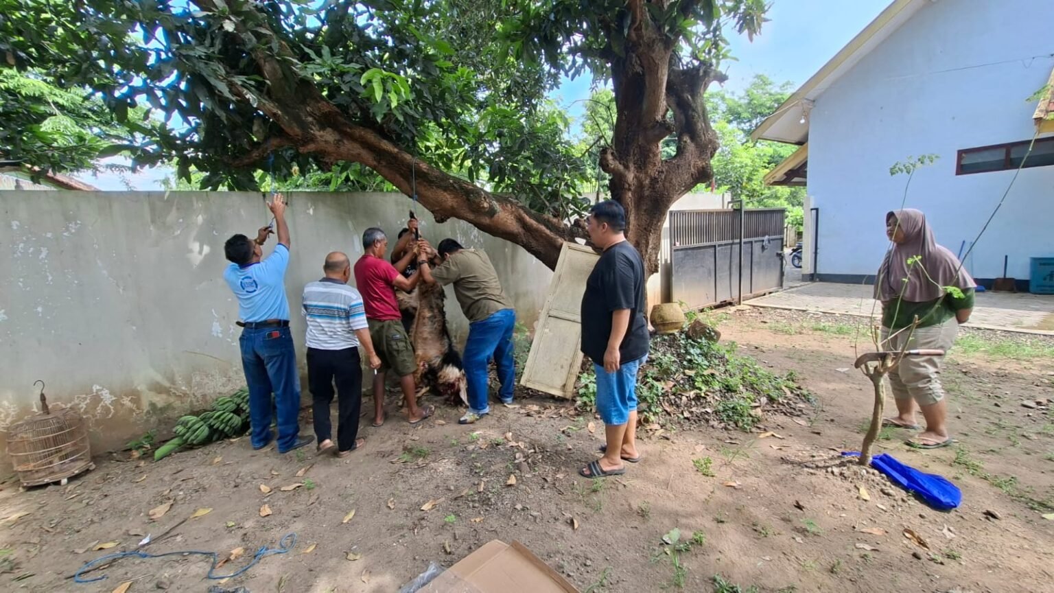 Tebar Spirit Berbagi di Momen Idul Adha, PWI Nganjuk Sembelih Dua Kambing Kurban