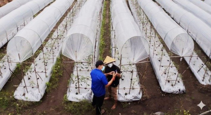 BRI Salurkan KUR Rp84,36 Triliun, Mayoritas Mengalir ke Sektor Produktif
