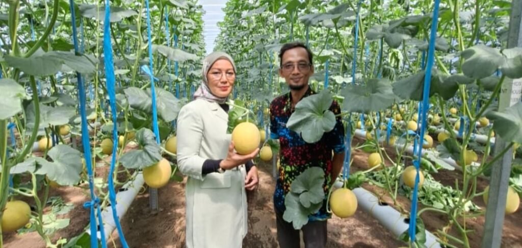 Dorong UMKM Naik Kelas, BRI Tulungagung Salurkan KUR Rp741 Miliar