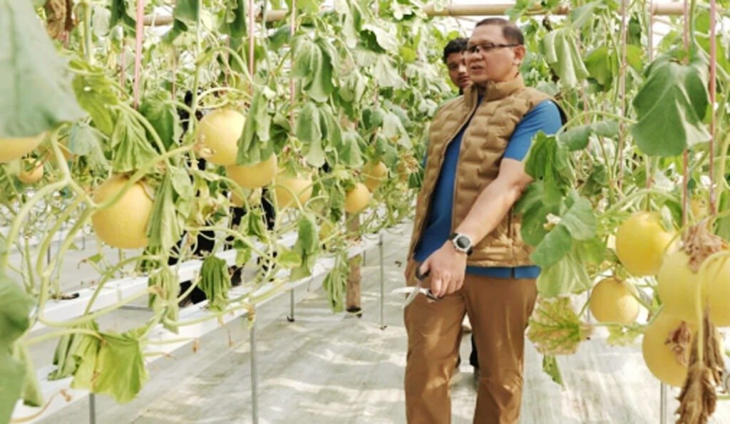 Dindik Jatim Puji Inovasi SMKN 1 Tulungagung Kembangkan Melon dengan Teknologi