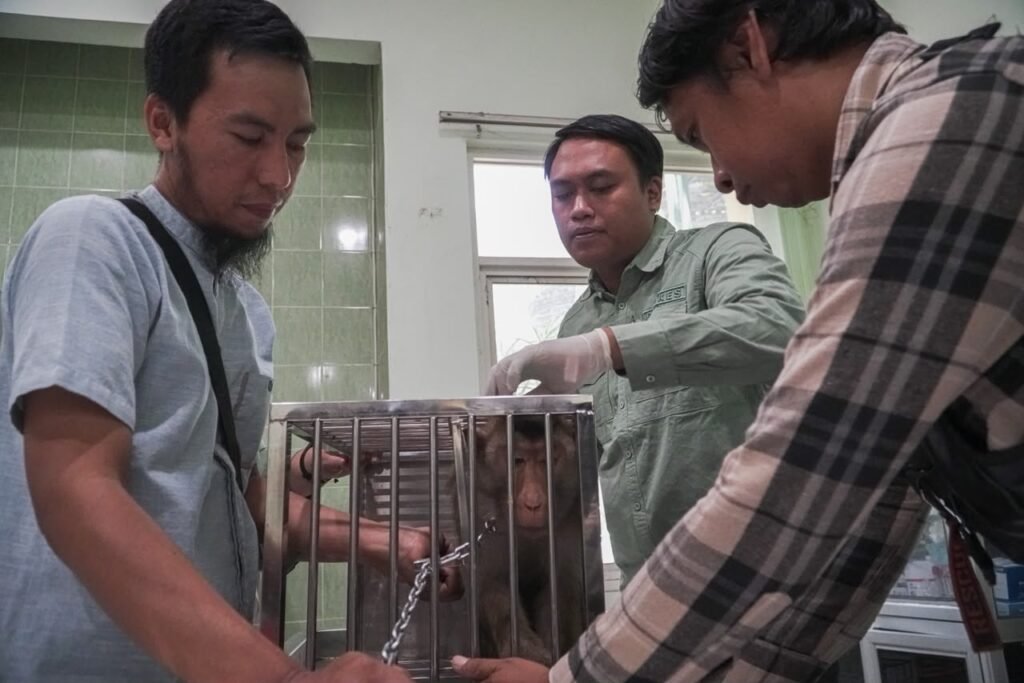 Cegah Rabies, DPPP Sidoarjo Gelar Vaksinasi Gratis bagi Hewan Peliharaan