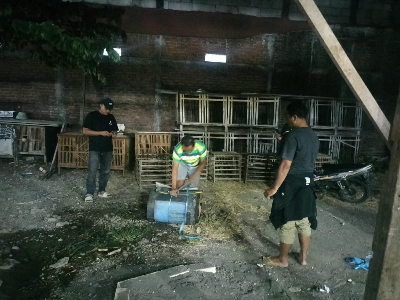 Viral di Media Sosial, Polsek Waru Datangi Lokasi Arena Sabung Ayam di Berbek