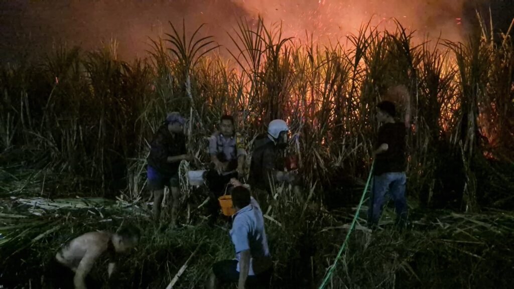 Polsek Wonoayu Gerak Cepat Padamkan Kebakaran Lahan Tebu di Popoh
