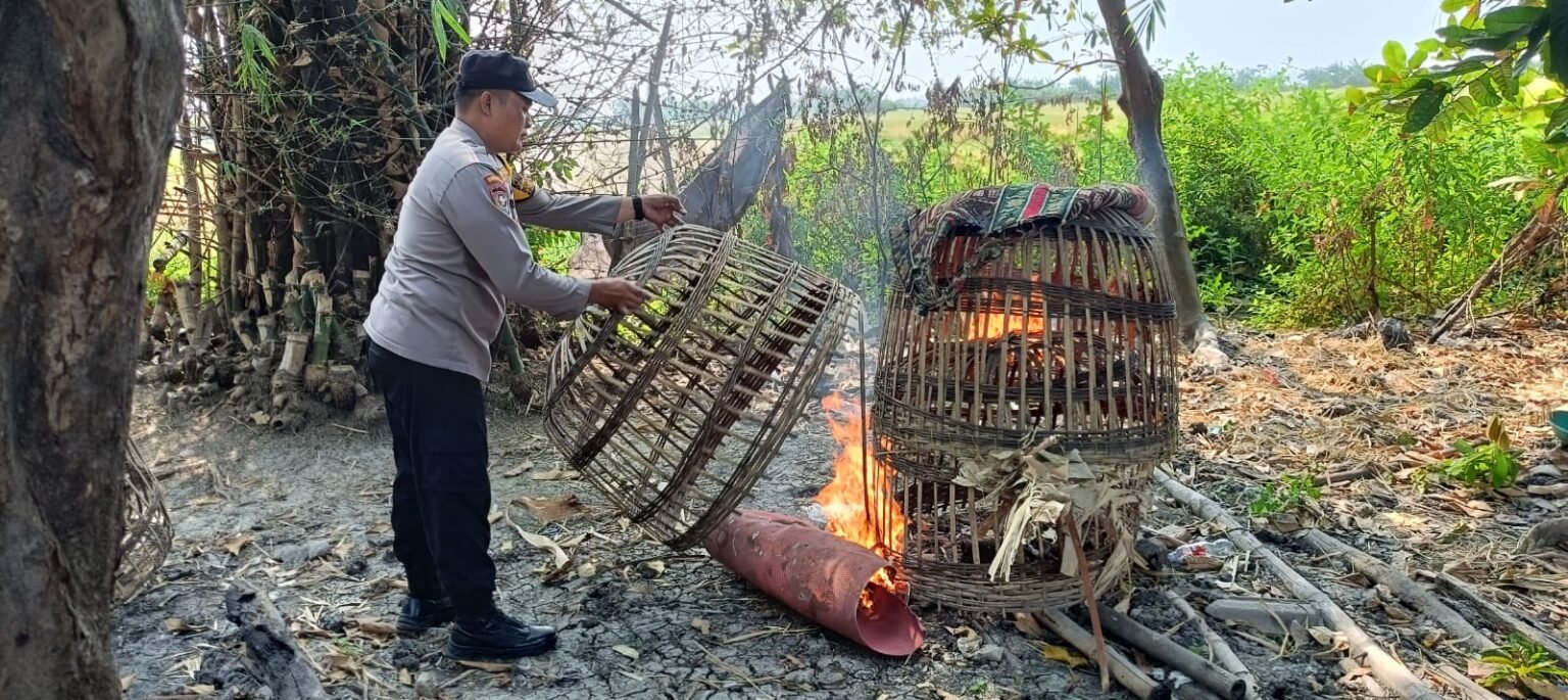Aduan Sabung Ayam di Sukodono Ditindaklanjuti Polisi, Warga Diberi Imbauan